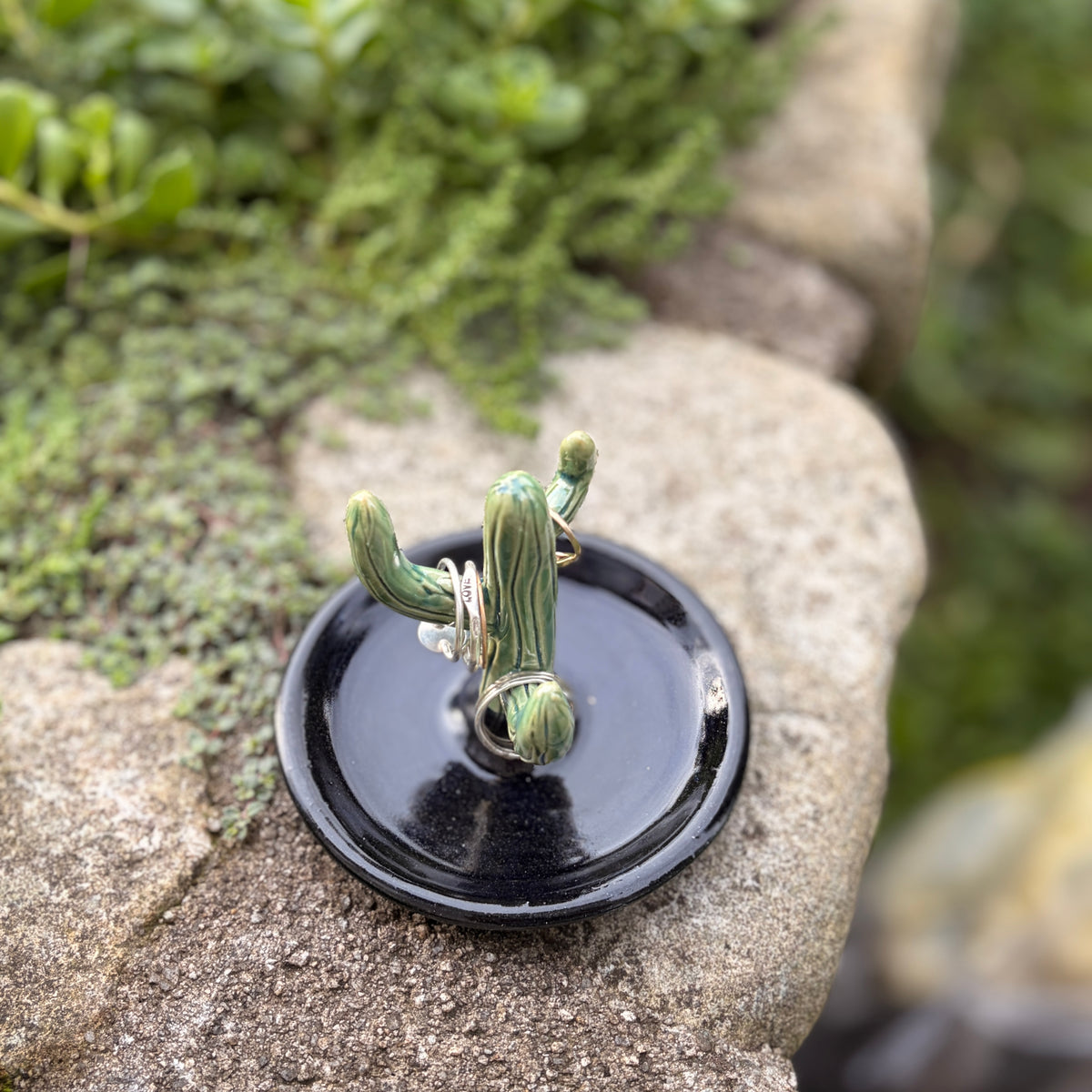 Cactus Ring Holder-Green and Black