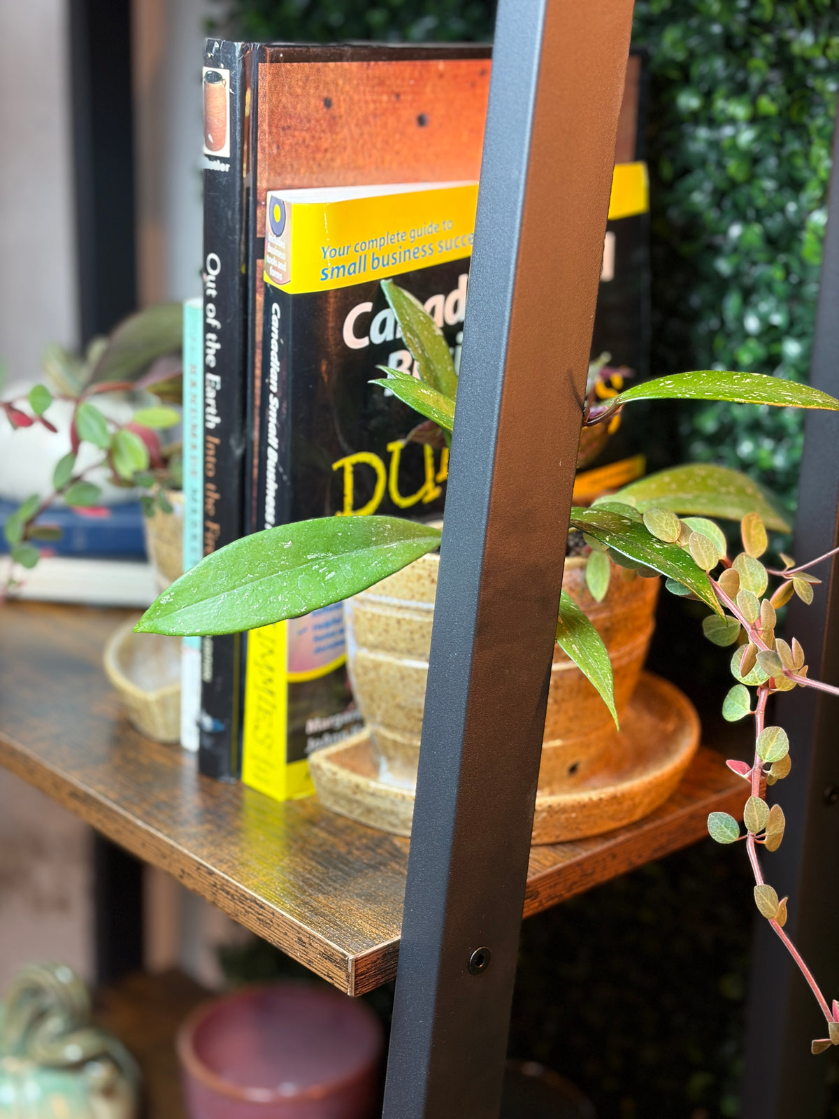 Book End Planters (pair)