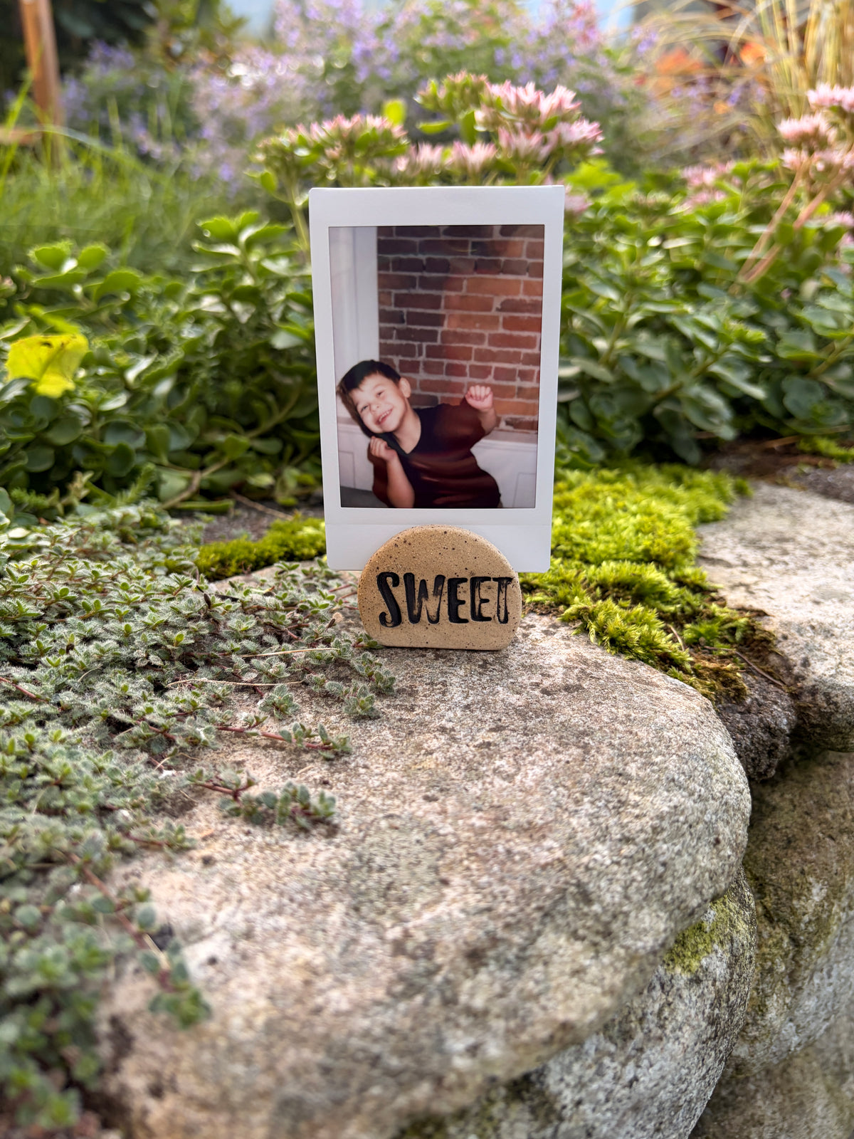 Polaroid holder