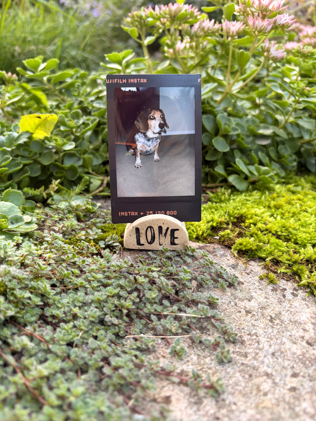 Polaroid holder