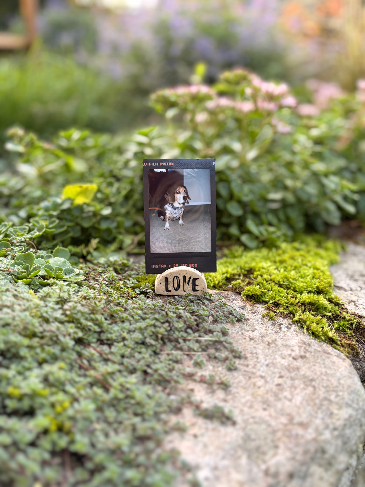 Polaroid holder