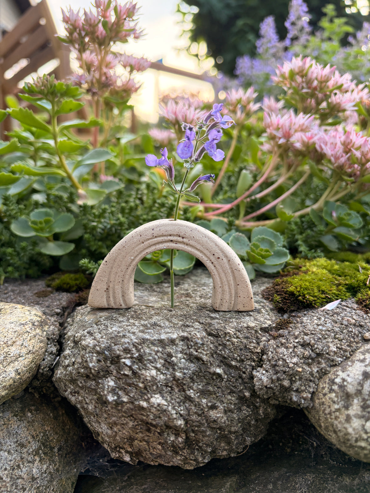 Rainbow Stem Holder