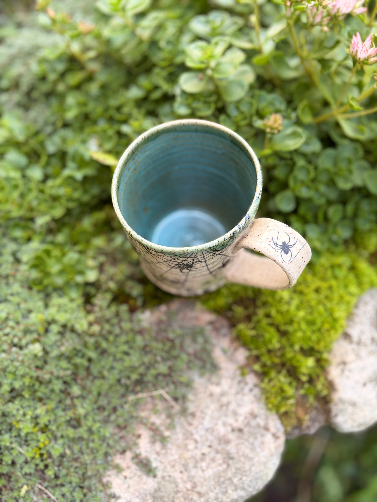 Spider Mug